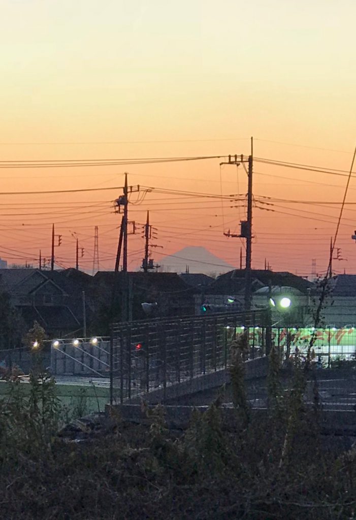 綺麗な富士山が見えました