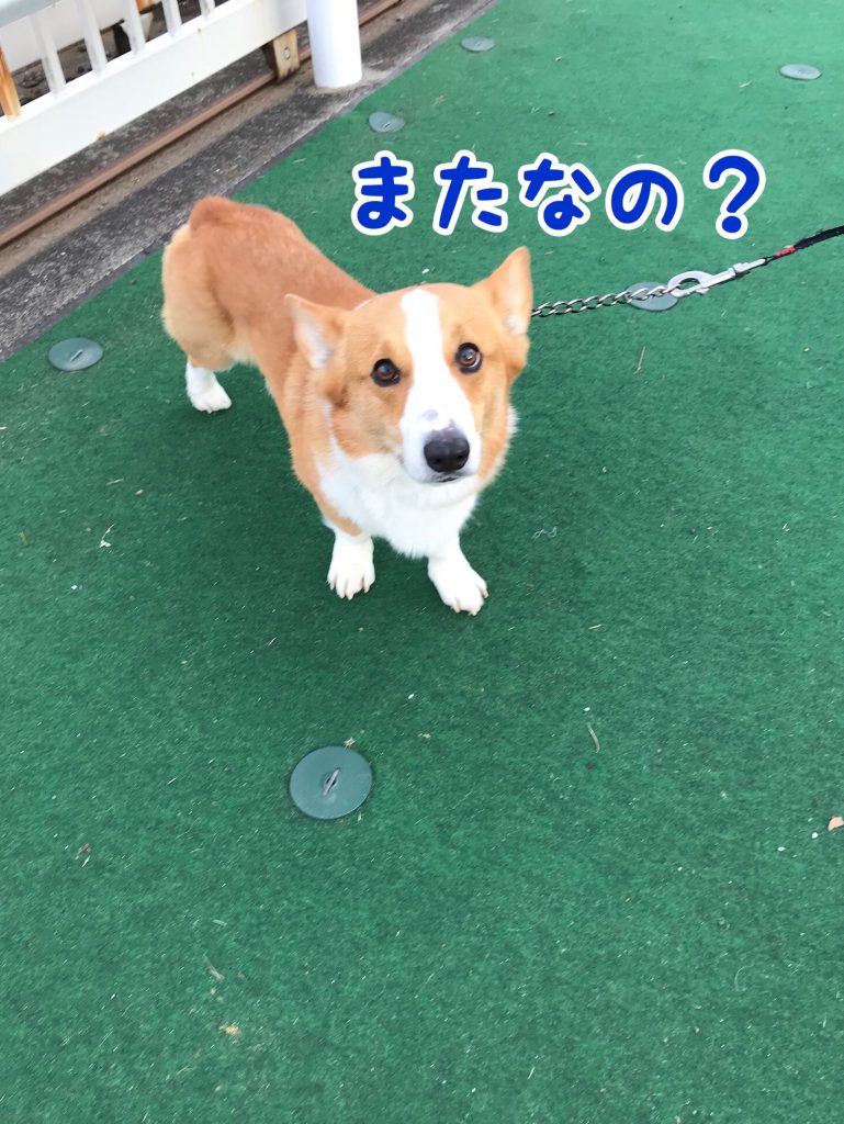 またなの？