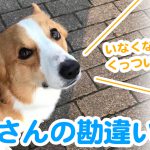 はるさんの勘違い？