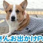 はるさんとお出かけpart2