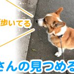 はるさんの見つめる先に