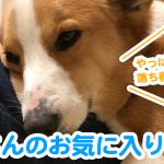 はるさんのお気に入りの場所