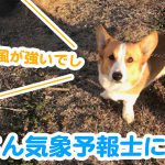 はるさん気象予報士になる？