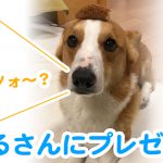 早くちょうだいよ〜