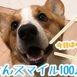 はるさんの笑顔100点満点