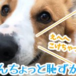 はるさんちょっと恥ずかしいよ