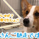 はるさんご馳走ですよ！