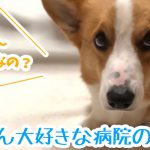 はるさん大好きな病院の後は？