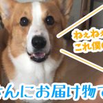 はるさんにお届けものですよ