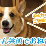 はるさん笑顔でおねだり！