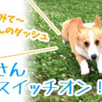 はるさん 突然スイッチオン！