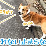 やめられない止まらない！？