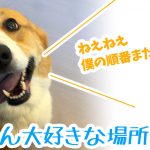 はるさん大好きな場所へ行く