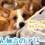 はるさん無言のアピール！？