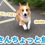 かくれんぼダメだってば！