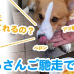 はるさんご馳走ですよ