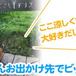 はるさんお出かけ先でビックリ？