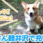 軽井沢で充電中