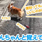 はるさんちゃんと覚えてたの？