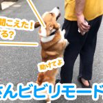 はるさんビビリモード全開！