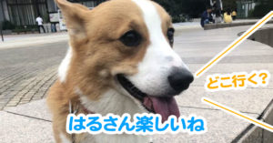 はるさん楽しいね