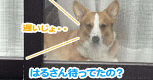 はるさん待ってたの？
