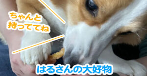 はるさんの大好物