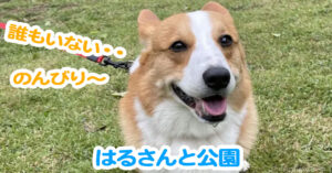 はるさんと公園