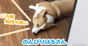 のんびりはるさん