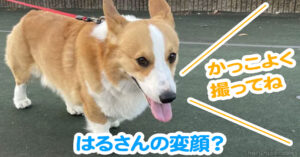 はるさんの変顔？