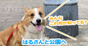 はるさんと公園へ