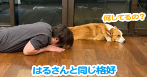 はるさんと同じ格好