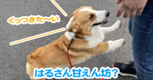 はるさん甘えん坊？