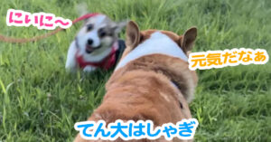てん大はしゃぎ