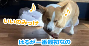 はるが一番最初なの
