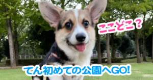 てん初めての公園へGO!