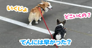 てんには早かった？