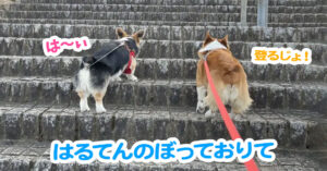 はるてんのぼっておりて