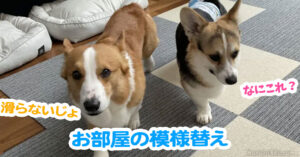 お部屋の模様替え