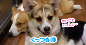 くっつき隊