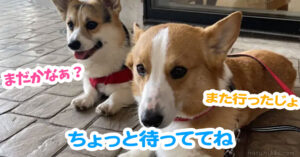 ちょっと待っててね