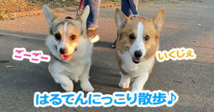 はるてんにっこり散歩♪
