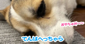 てんはへっちゃら