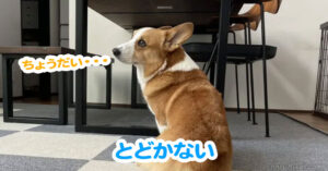 とどかない