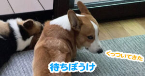 待ちぼうけ
