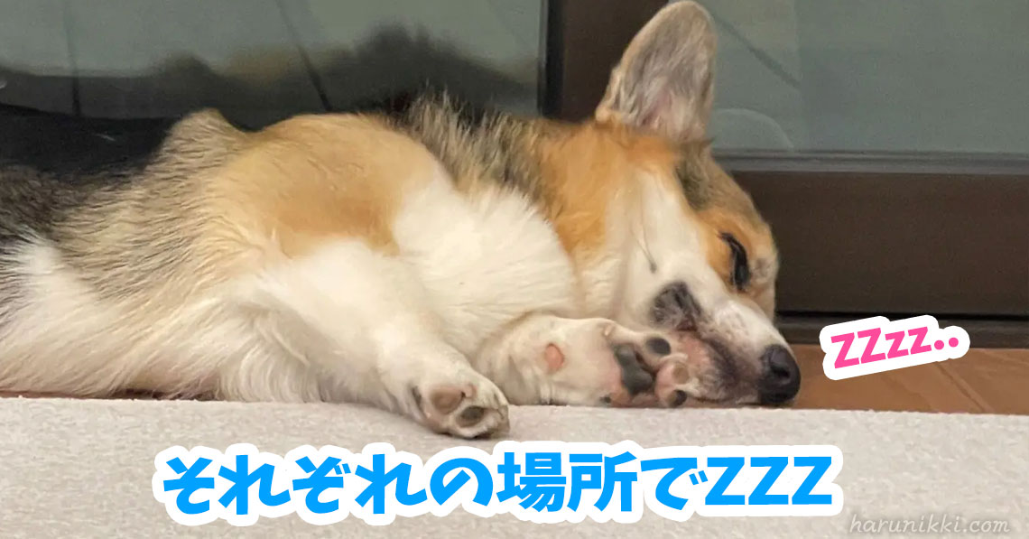 それぞれの場所でZZZ