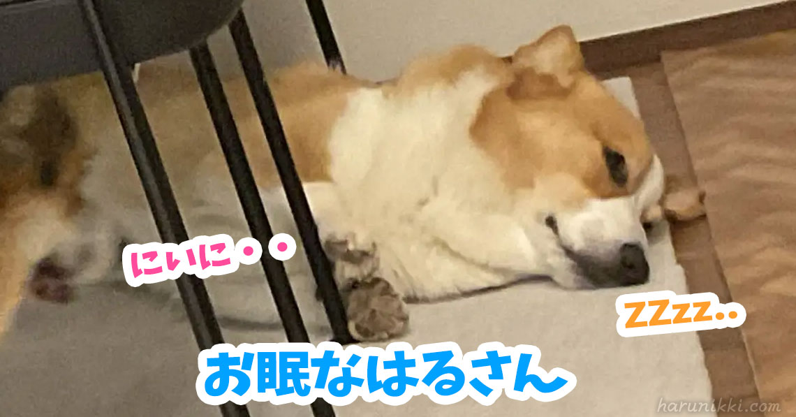 お眠なはるさん