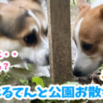 はるてんと公園お散歩