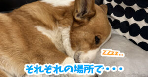 それぞれの場所で・・・