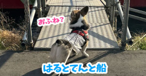 はるとてんと船